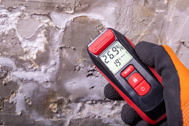 Best Water Damage Restoration  in Stockbridge, MI